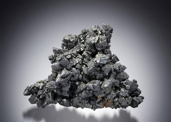 CC20193 specimen image