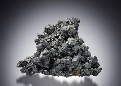 CC20193 specimen image