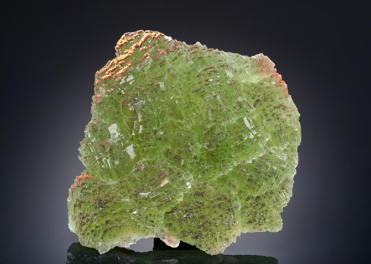 CC20197 specimen image