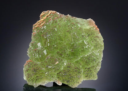 CC20197 specimen image