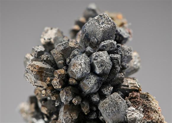 CC20202 specimen image