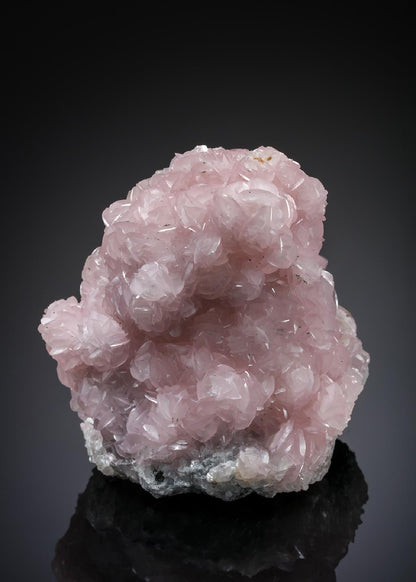 CC20209 specimen image