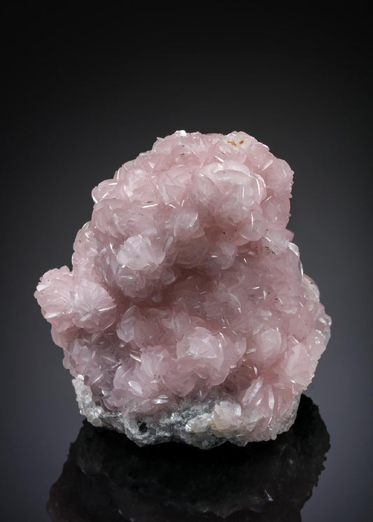 CC20209 specimen image