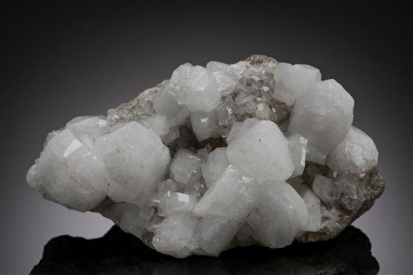 CC20211 specimen image