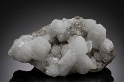 CC20211 specimen image