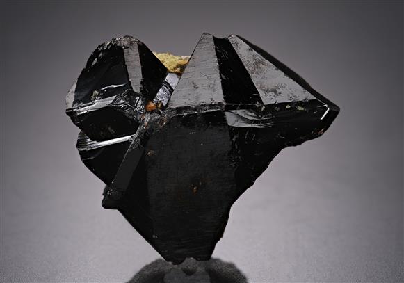 CC20216 specimen image