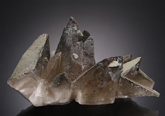 CC20219 specimen image