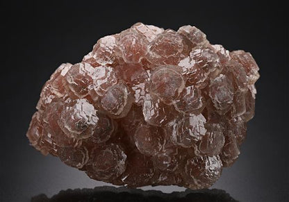 CC20224 specimen image