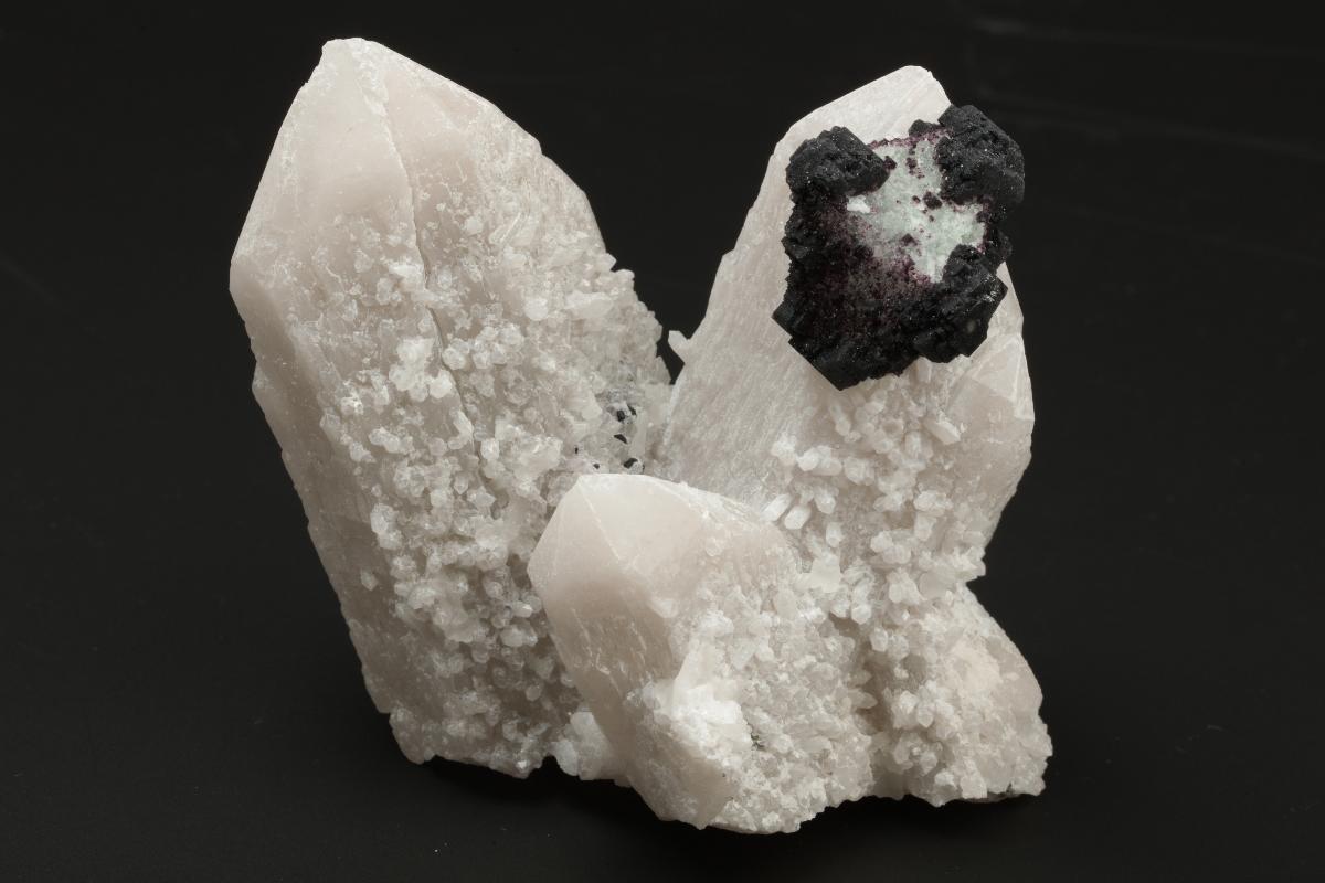 CC20225 specimen image