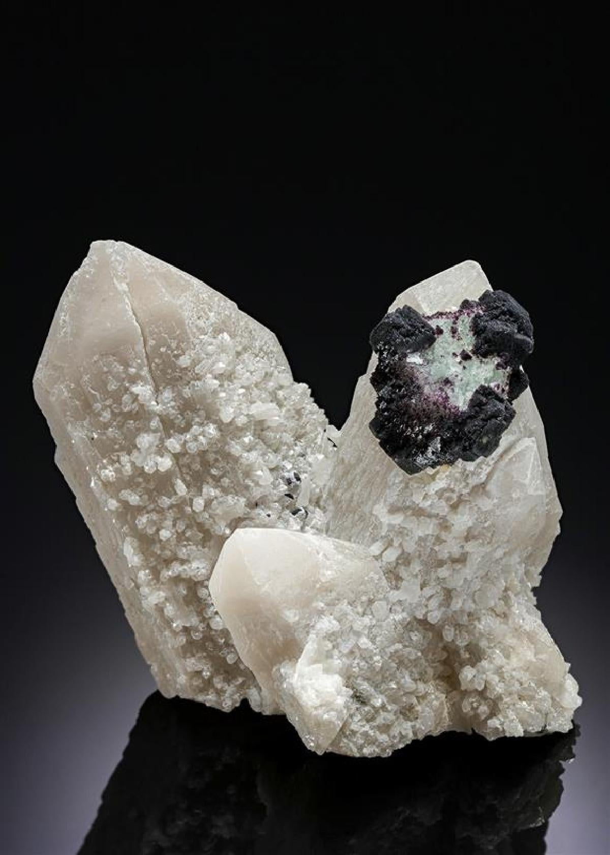 CC20225 specimen image
