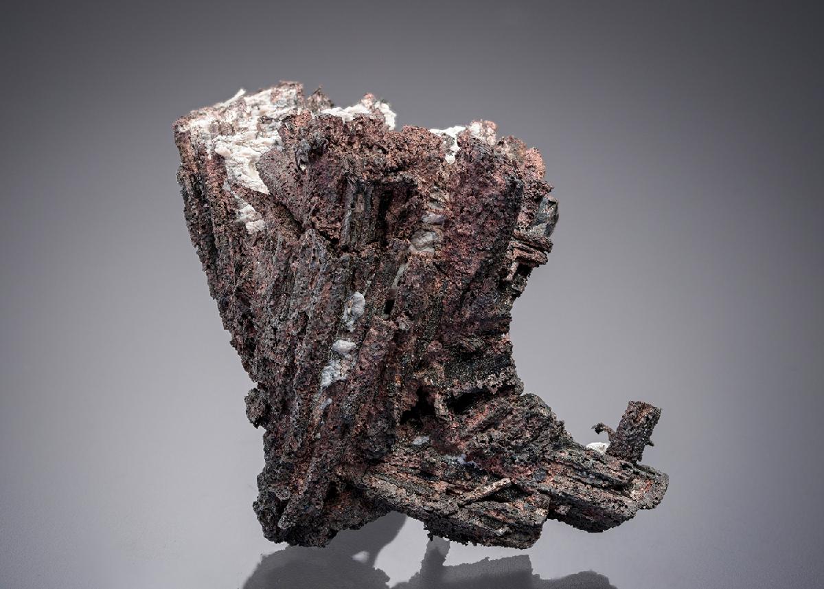 CC20228 specimen image