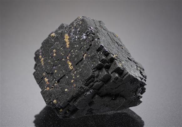 CC20229 specimen image