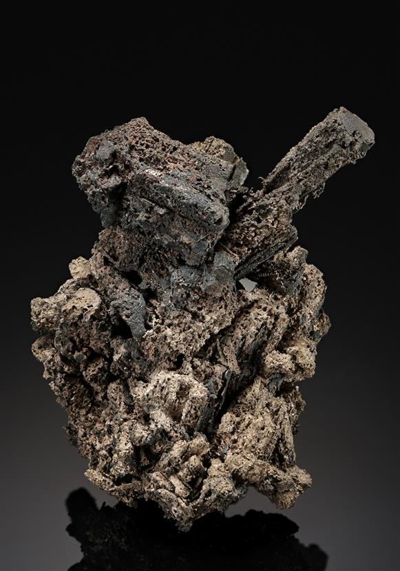 CC20232 specimen image