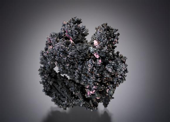 CC20233 specimen image