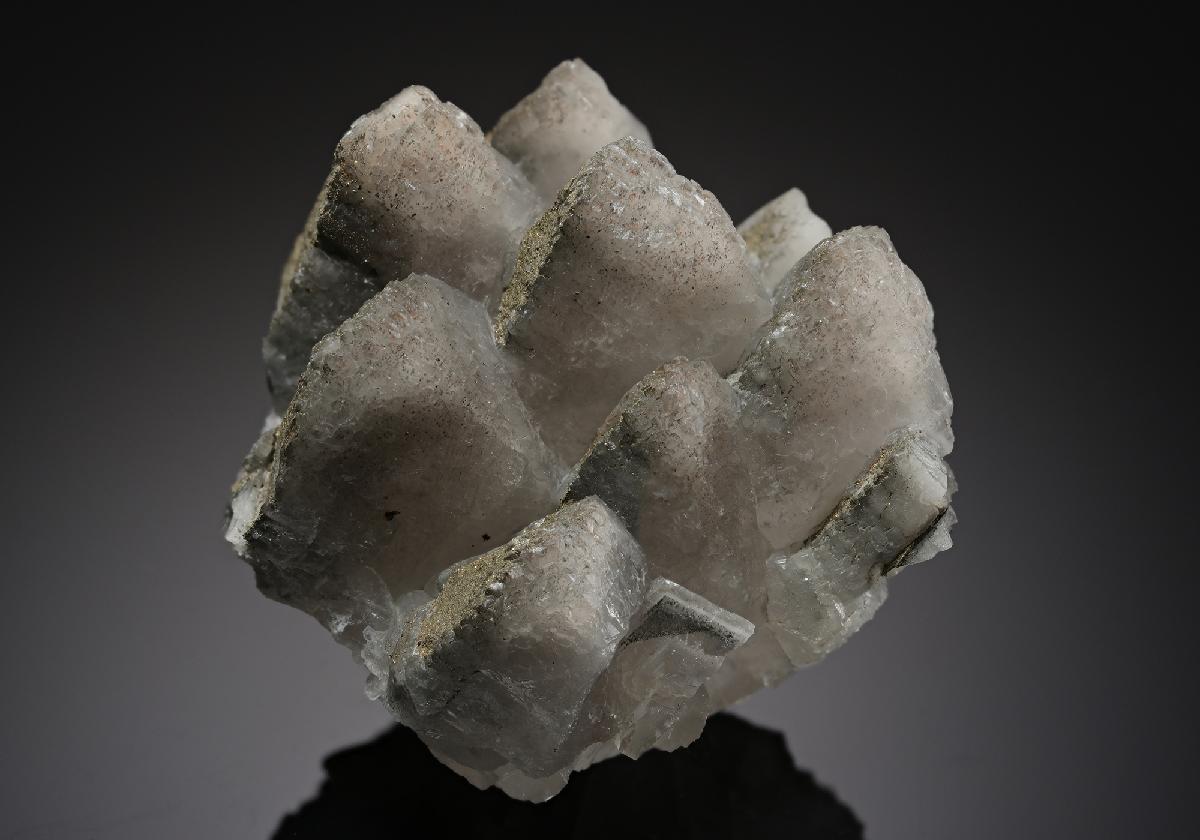CC20237 specimen image