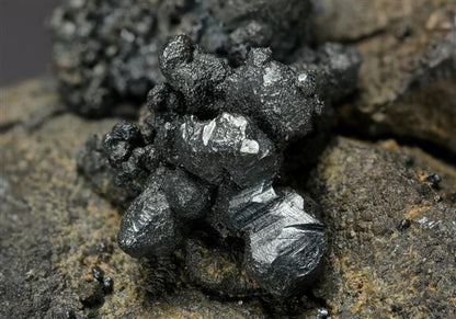 CC20239 specimen image