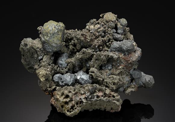 CC20240 specimen image