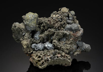 CC20240 specimen image