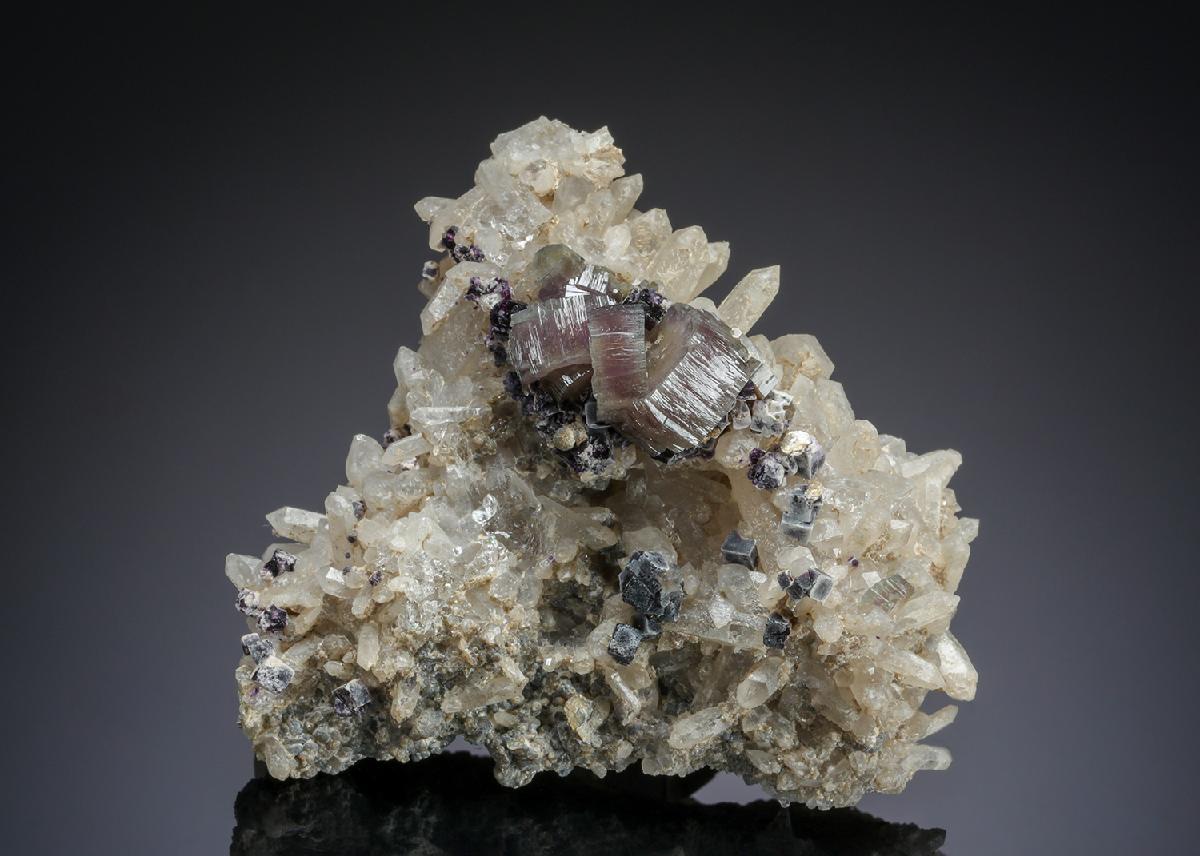 CC20242 specimen image