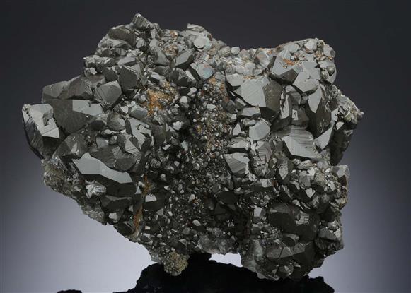 CC20243 specimen image