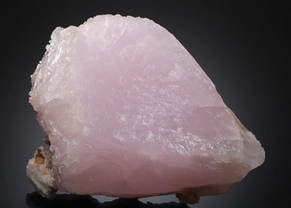 CC20247 specimen image