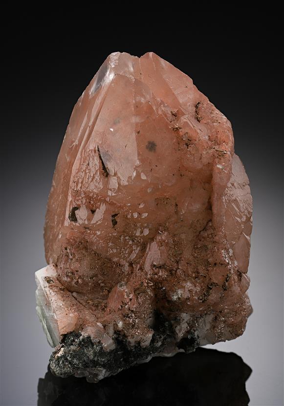 CC20251 specimen image