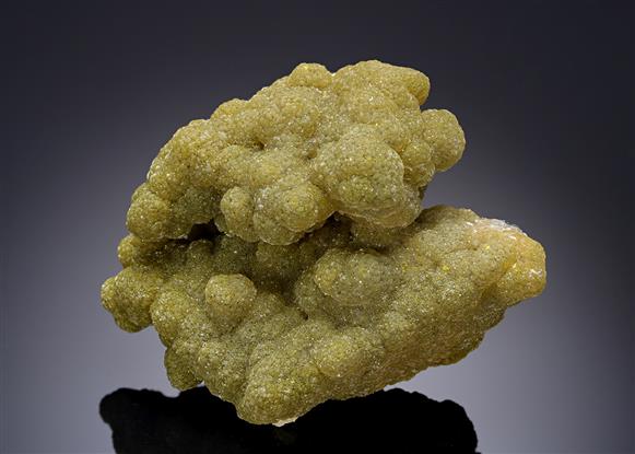 CC20253 specimen image