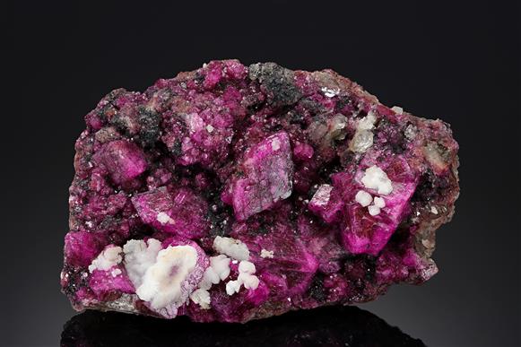 CC20262 specimen image
