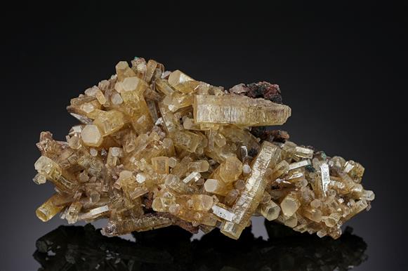 CC20264 specimen image