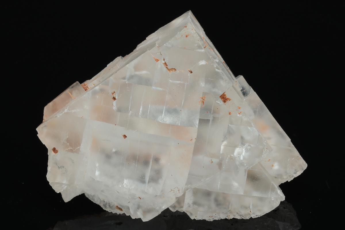 CC20272 specimen image