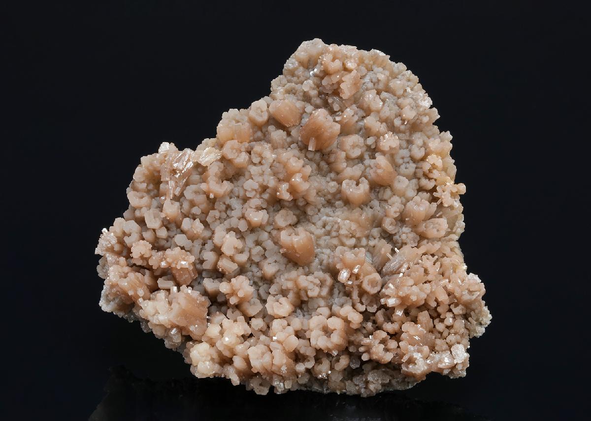 CC20273 specimen image