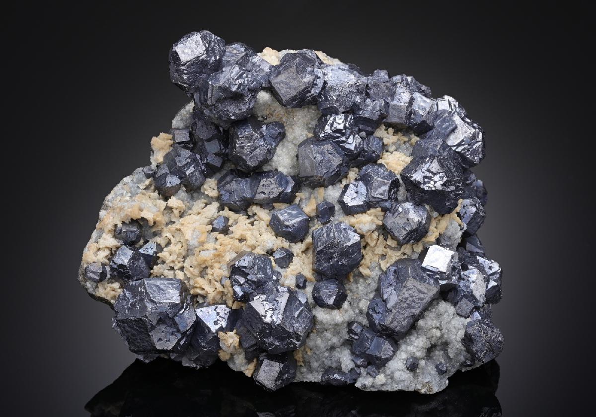 CC20275 specimen image