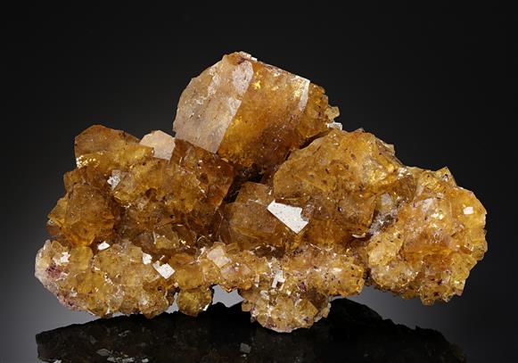 CC20276 specimen image