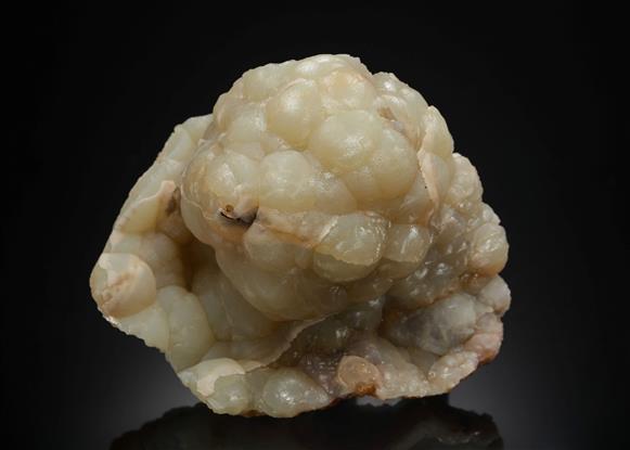 CC20277 specimen image