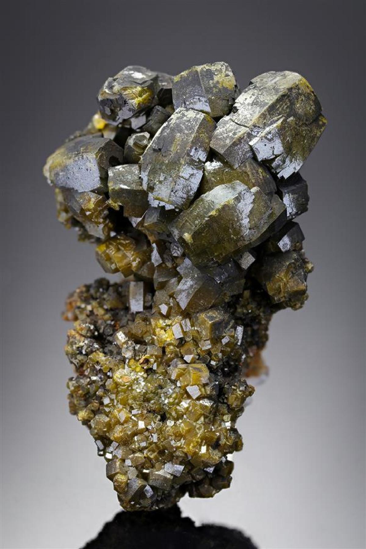 CC20321 specimen image