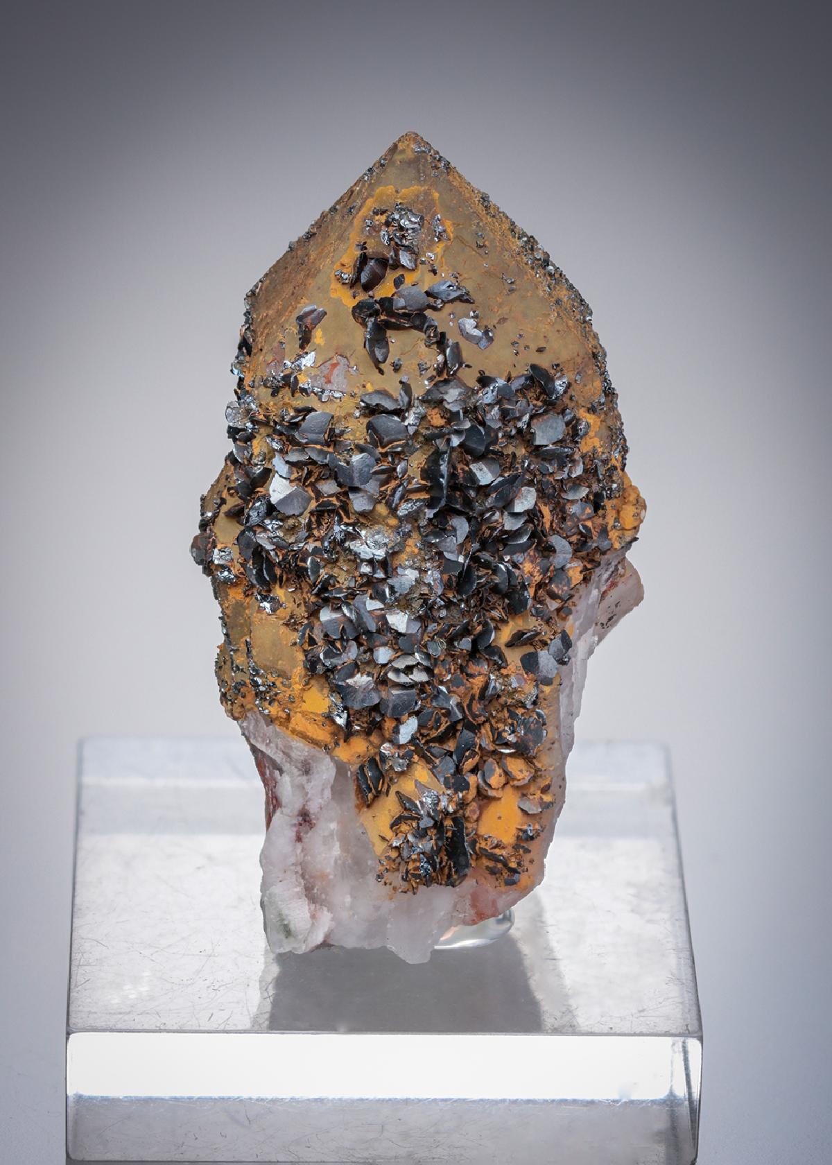 CC20324 specimen image