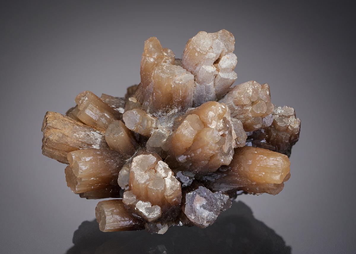 CC20333 specimen image