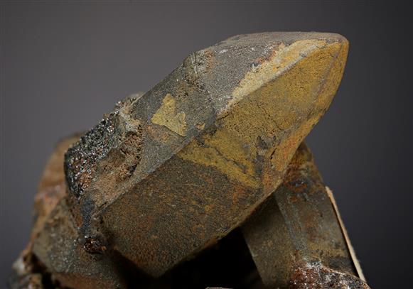 CC20334 specimen image
