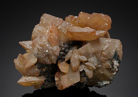 CC20345 specimen image
