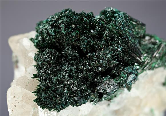 CC20347 specimen image