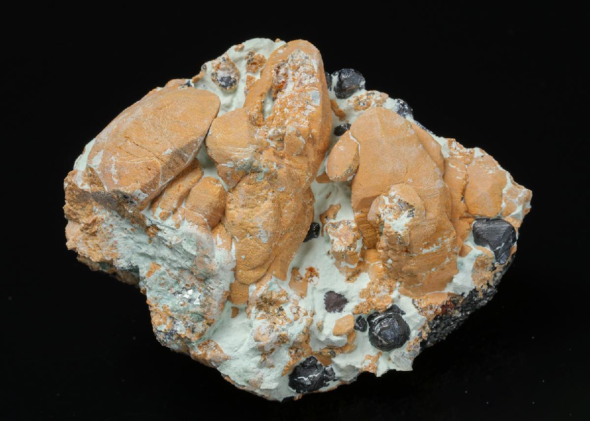 CC20350 specimen image