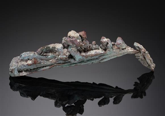 CC20359 specimen image