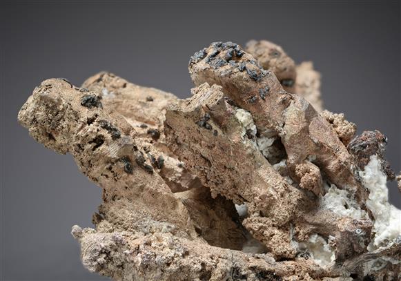 CC20360 specimen image
