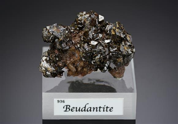 CC20372 specimen image