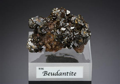CC20372 specimen image