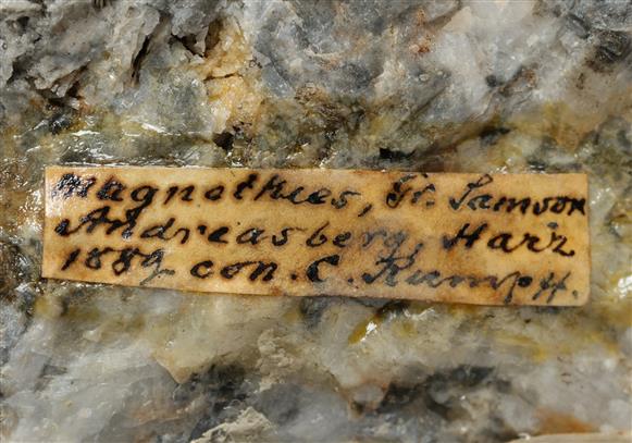 CC20379 specimen image