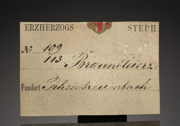 CC20395 specimen image