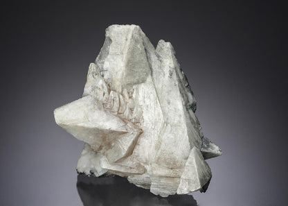 CC20398 specimen image