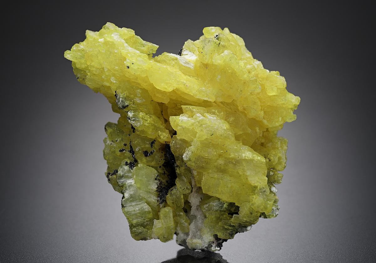 CC20401 specimen image