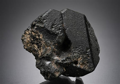 CC20402 specimen image